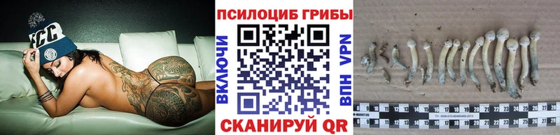 Галлюциногенные грибы Cubensis даркнет сайт Апатиты